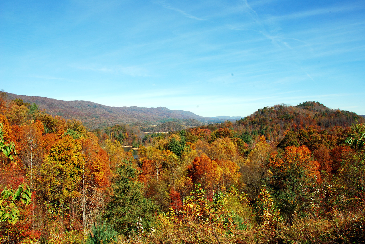 2011-10-23, 014, Along Rte 321, Hampton, TN