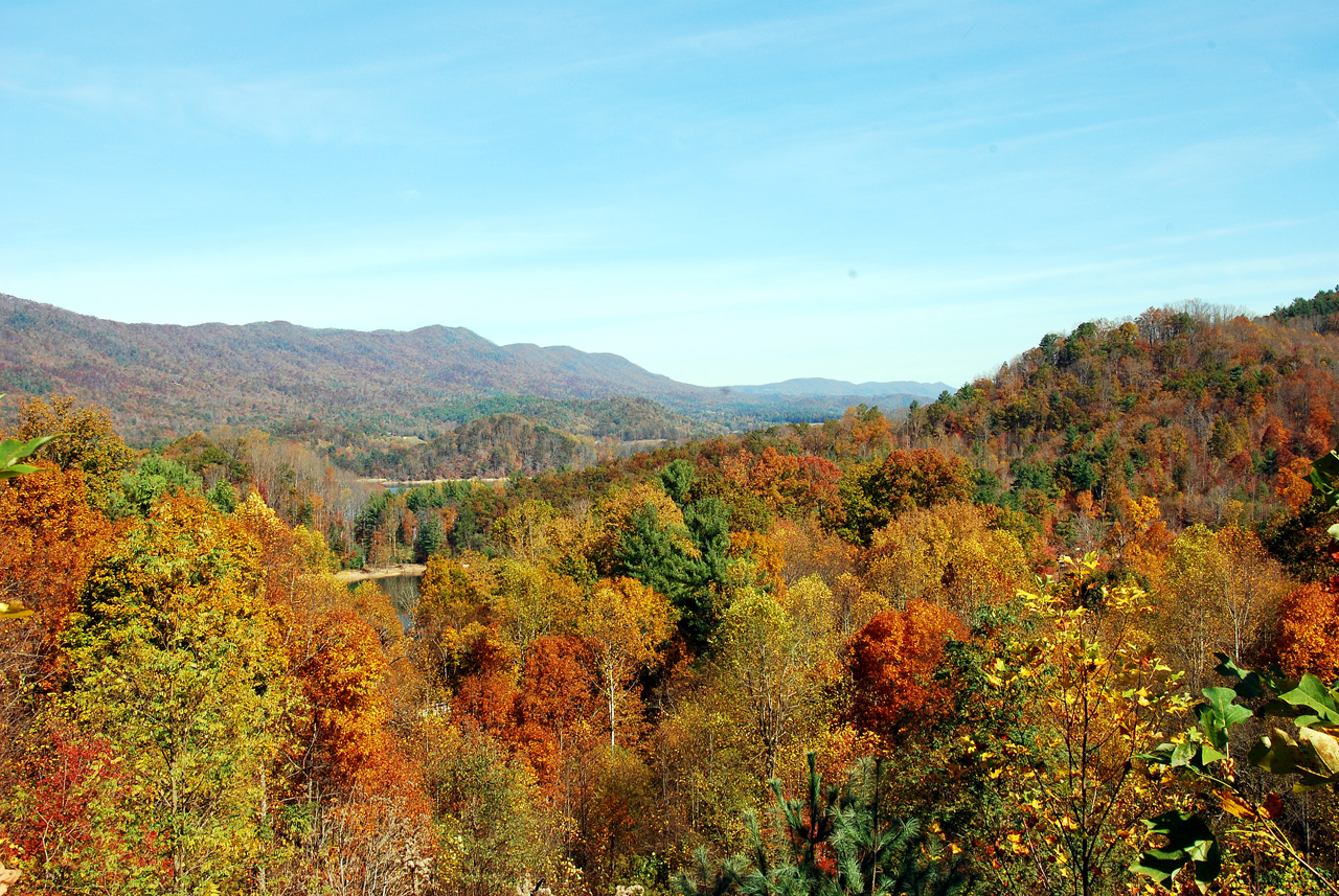 2011-10-23, 015, Along Rte 321, Hampton, TN