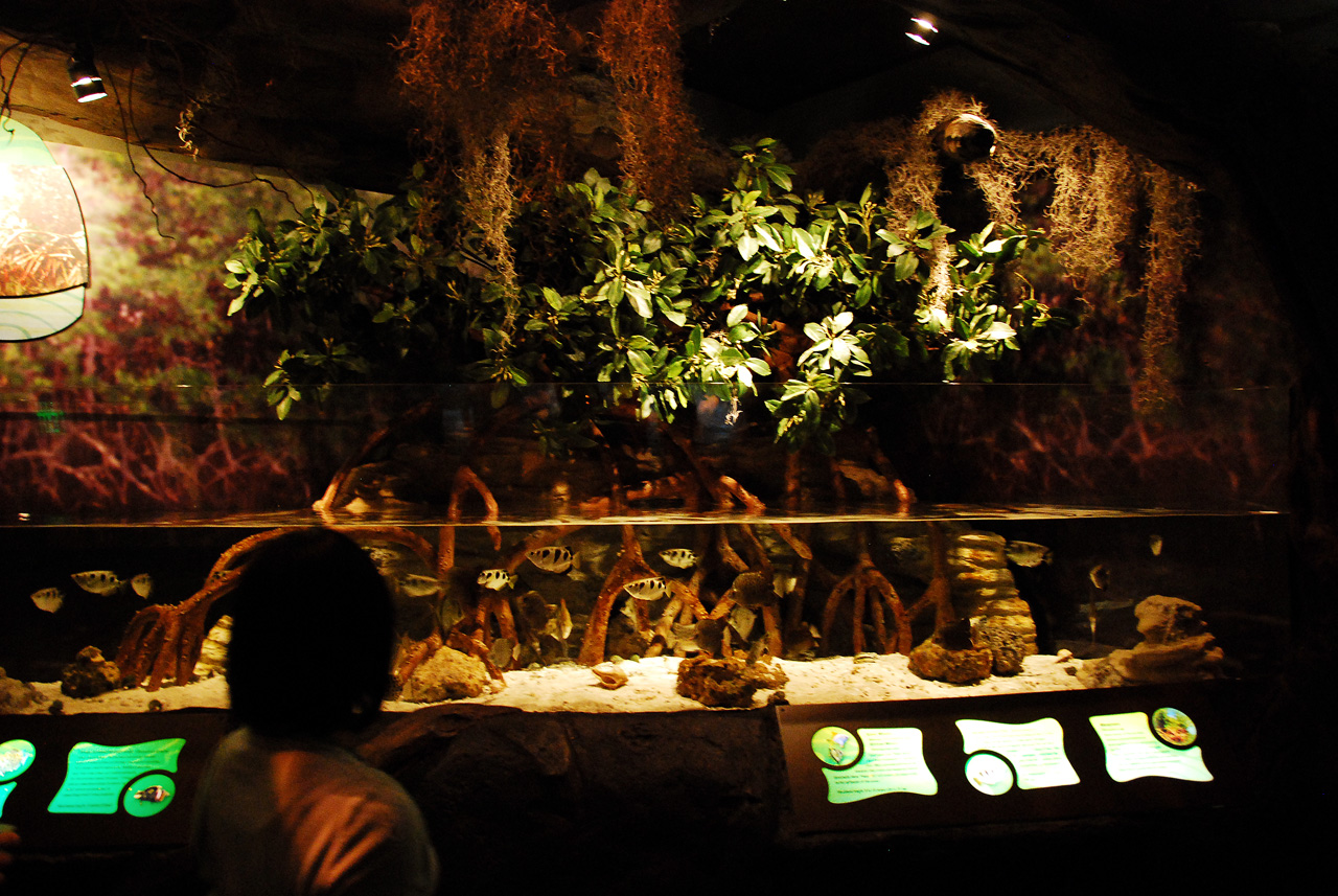 2011-10-27, 081, Georgia Aquarium, Atlanta, GA