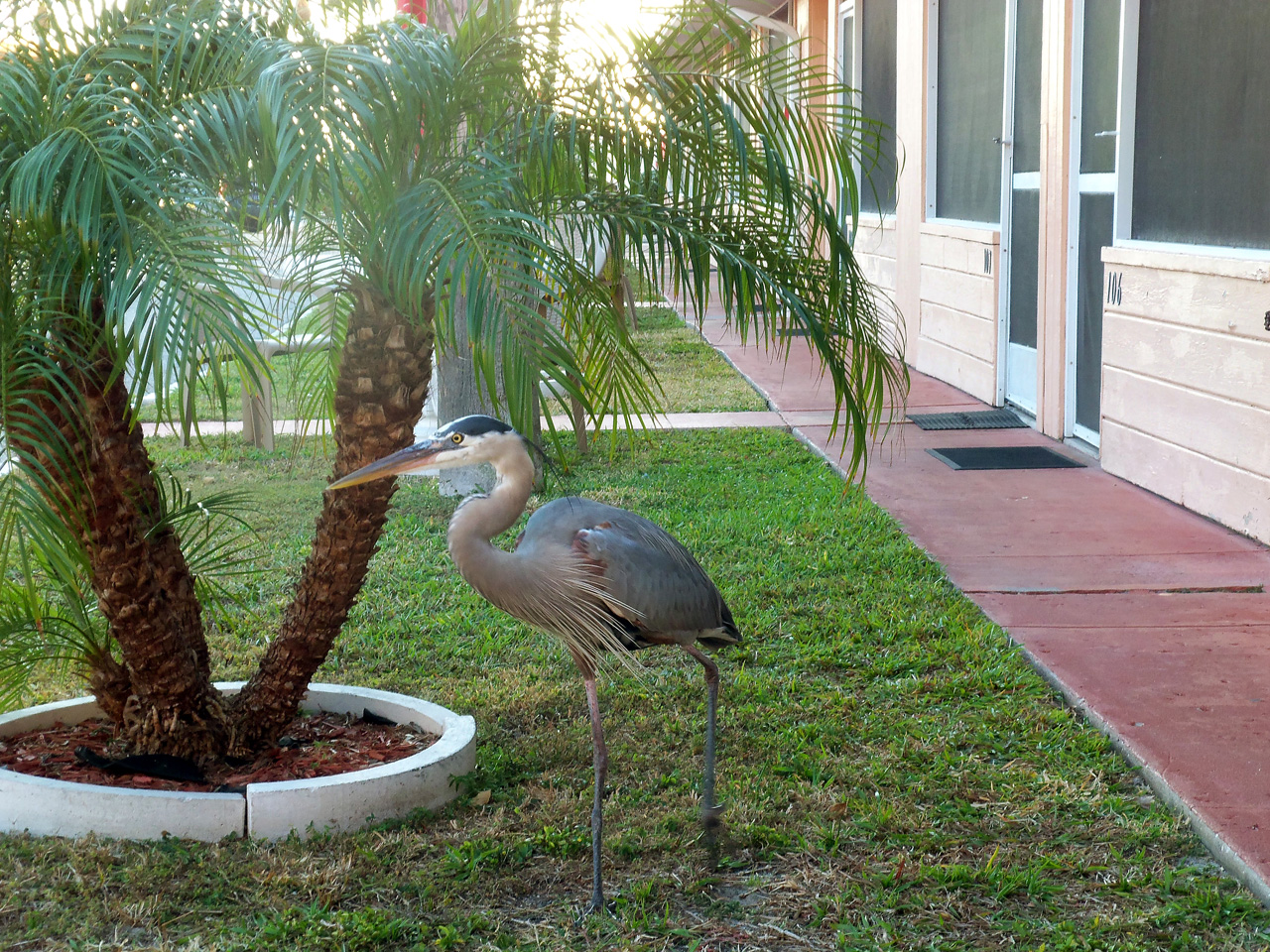 2011-12-30, 005, Motel, Sarasola, FL