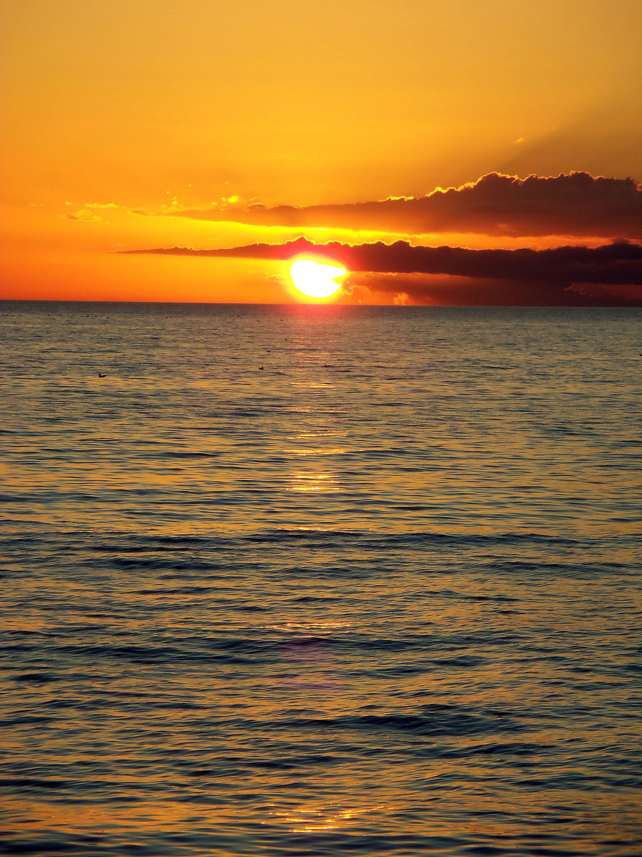 2011-12-30, 008, Sunset, Sarasola, FL