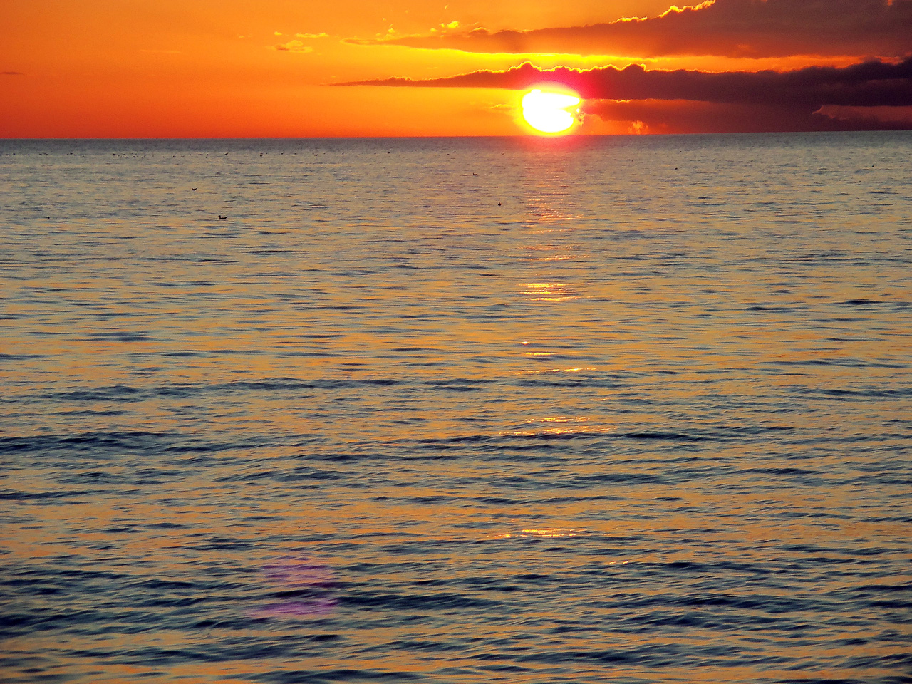 2011-12-30, 009, Sunset, Sarasola, FL