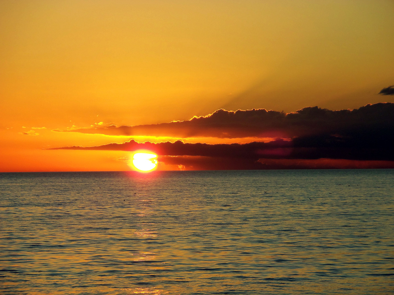 2011-12-30, 010, Sunset, Sarasola, FL