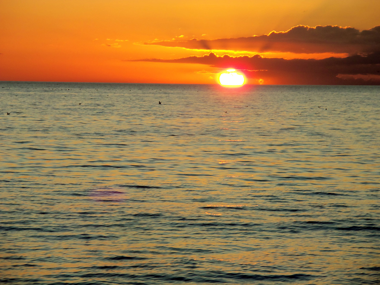 2011-12-30, 011, Sunset, Sarasola, FL