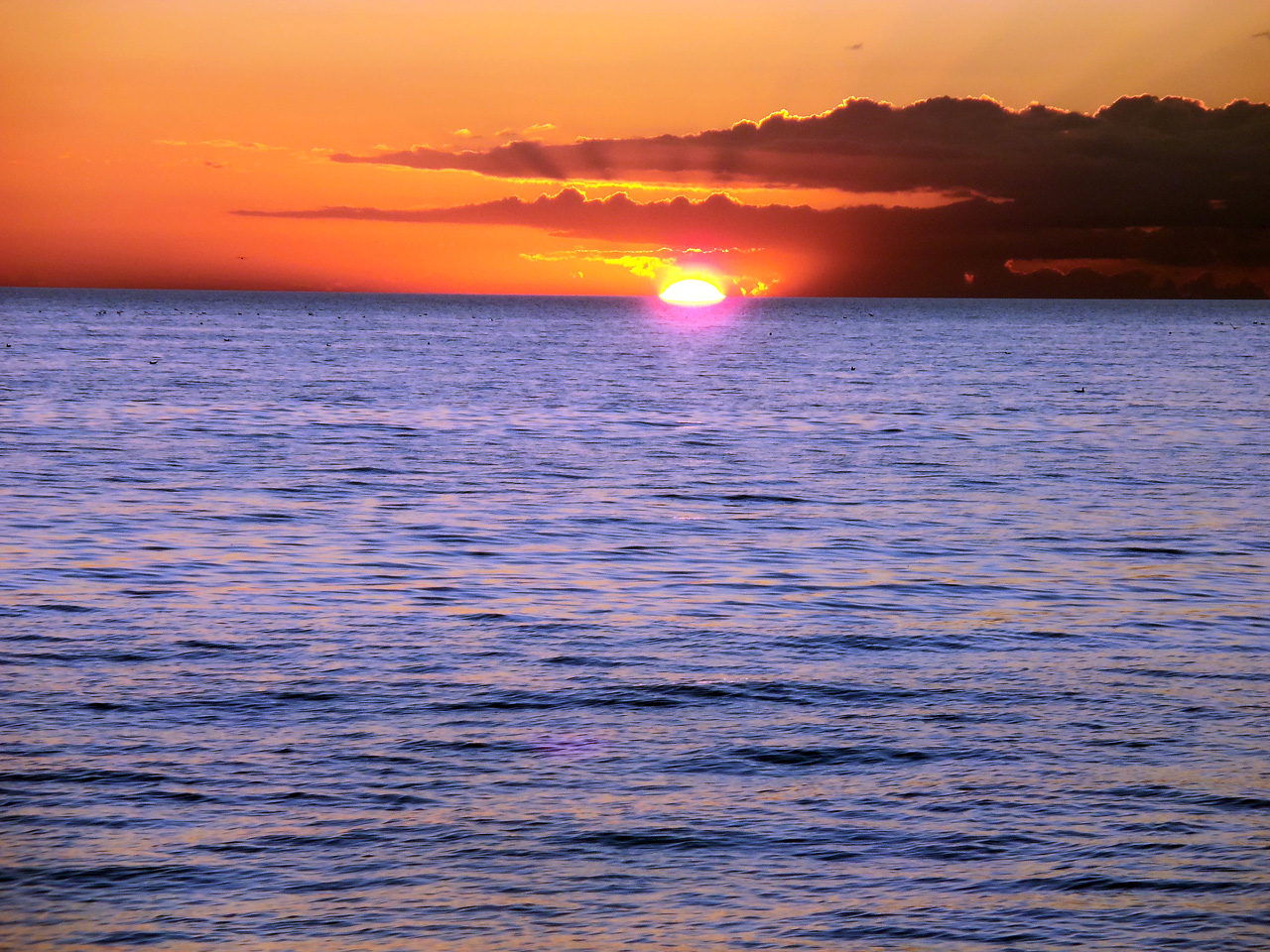 2011-12-30, 012, Sunset, Sarasola, FL