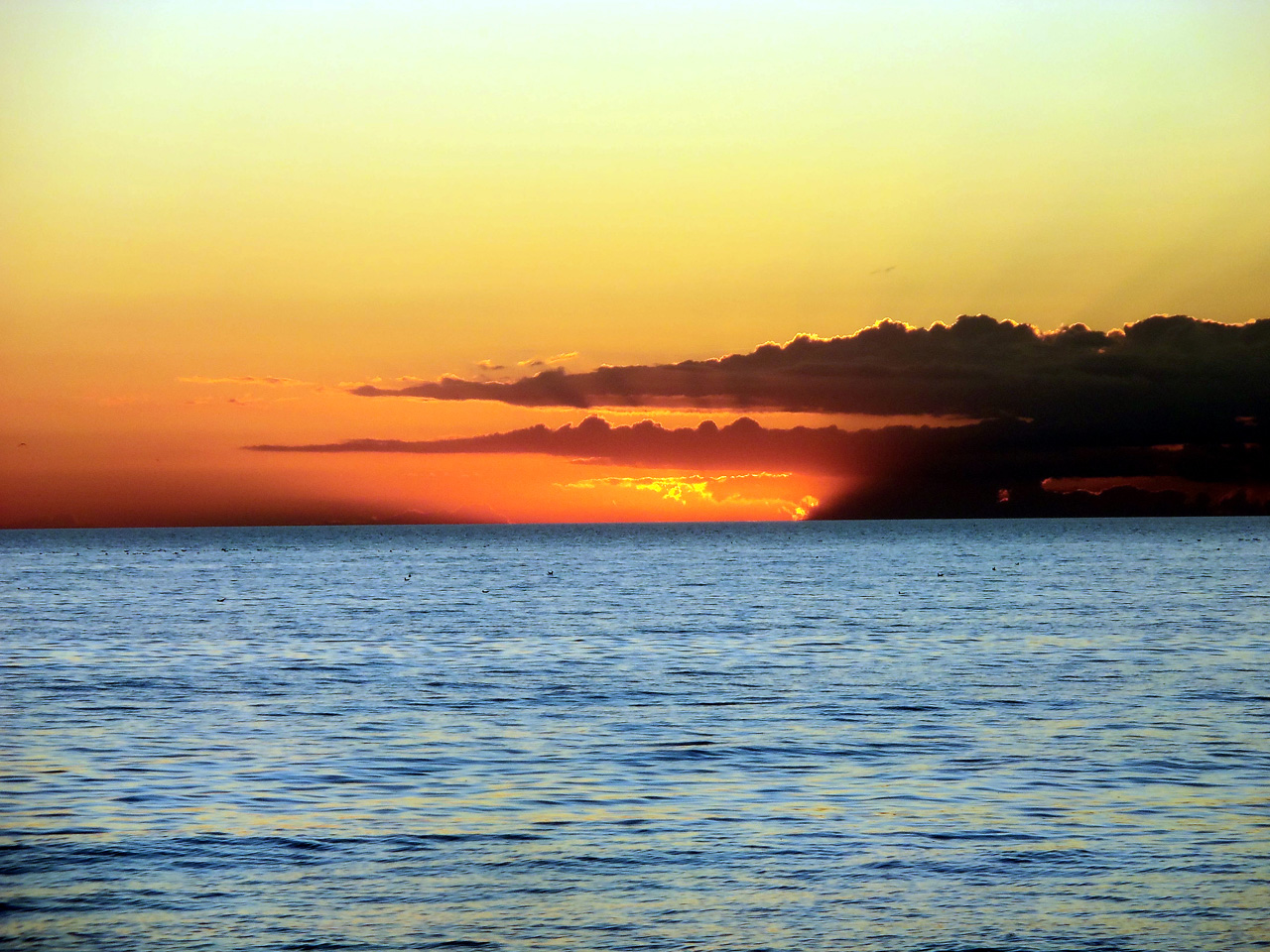 2011-12-30, 013, Sunset, Sarasola, FL