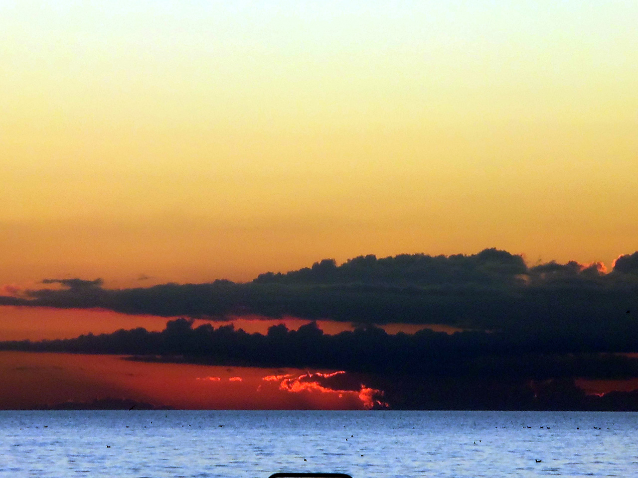 2011-12-30, 014, Sunset, Sarasola, FL