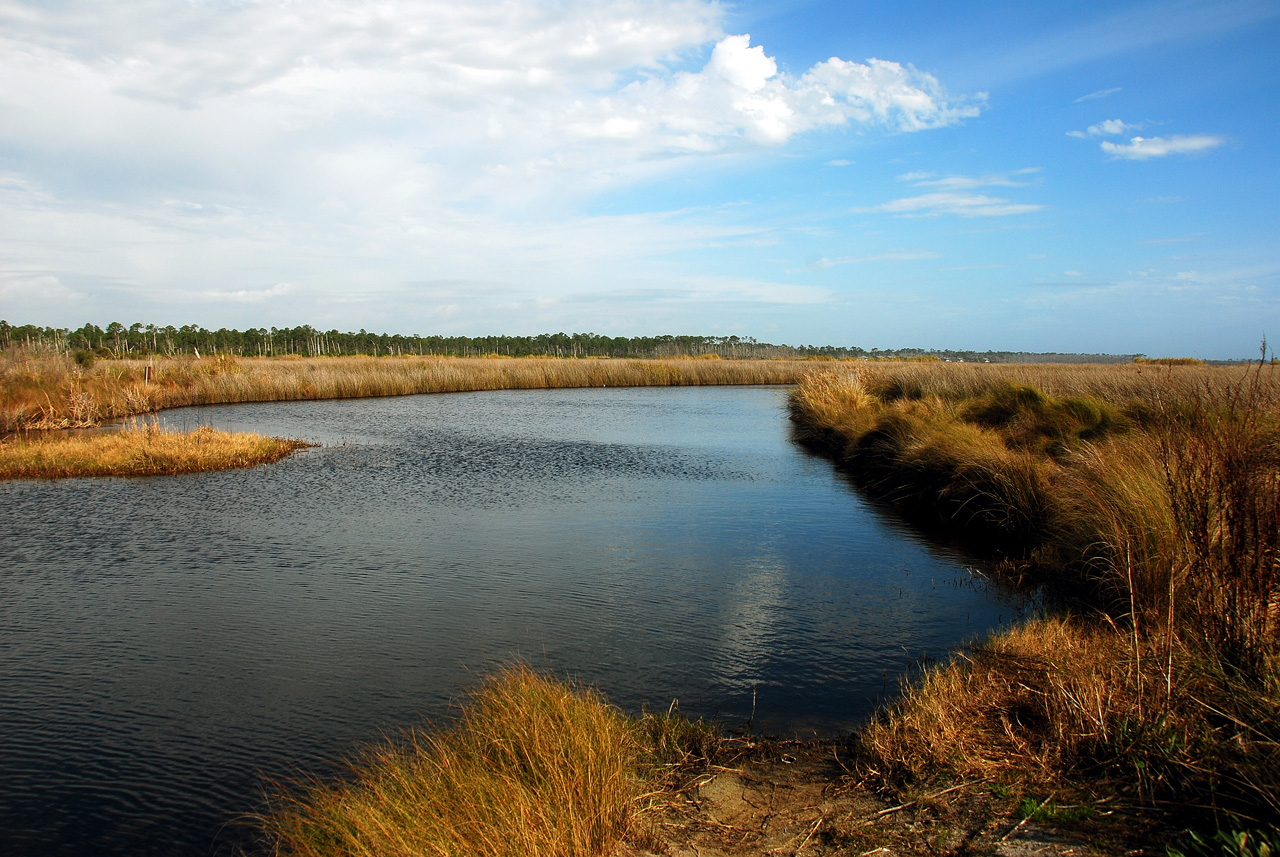 2012-01-17, 028, Gulf Shore State Park, AL