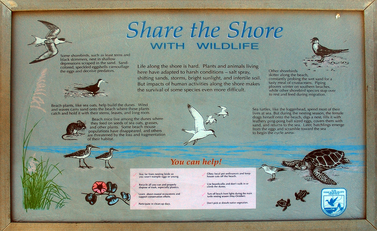 2012-01-17, 034, Gulf Shore State Park, FL