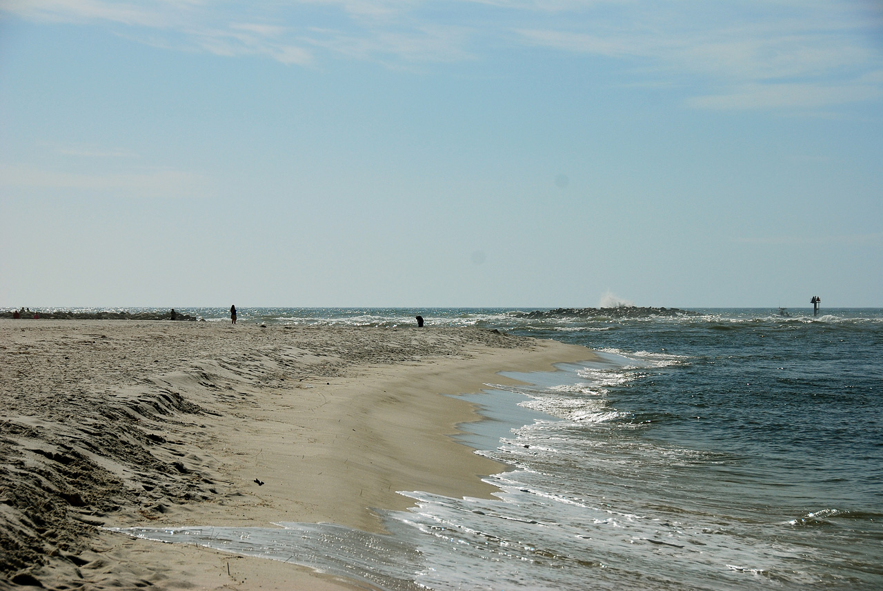 2012-01-17, 039, Gulf Shore State Park, FL
