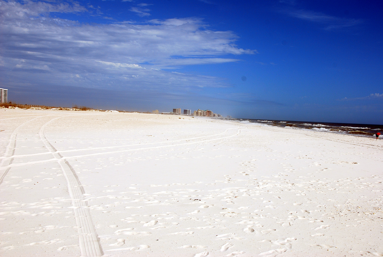 2012-01-17, 045, Gulf Shore State Park, FL