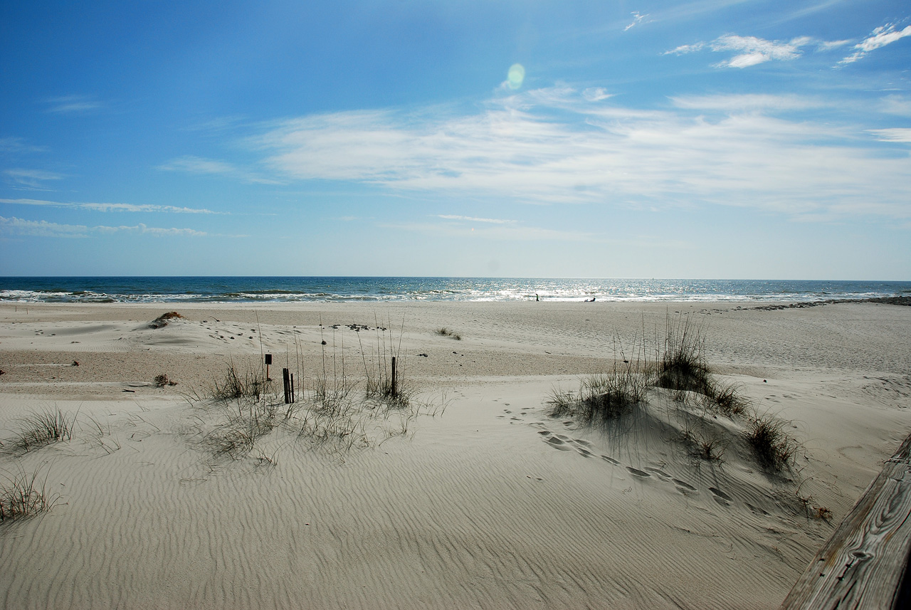 2012-01-17, 047, Gulf Shore State Park, FL