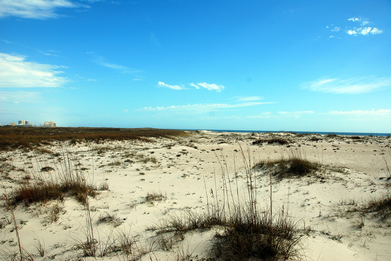 2012-01-17, 049, Gulf Shore State Park, FL