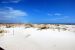 2012-01-17, 046, Gulf Shore State Park, FL
