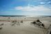 2012-01-17, 047, Gulf Shore State Park, FL
