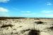 2012-01-17, 049, Gulf Shore State Park, FL