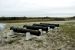 2012-01-24, 060, Fort Pickens