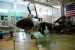 015, F-14 Tomcat