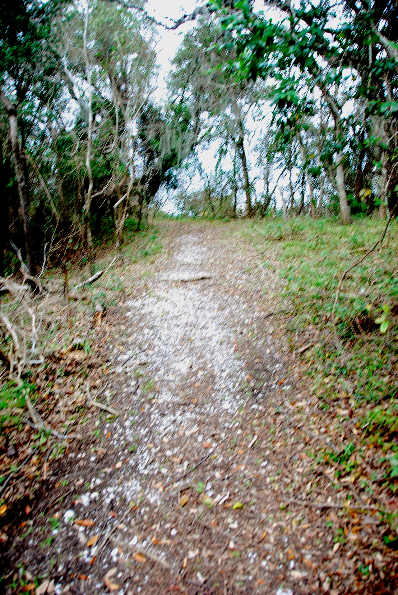 2012-01-31, 051, Shell Mounds