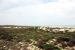2012-02-14, 003, Padre Island