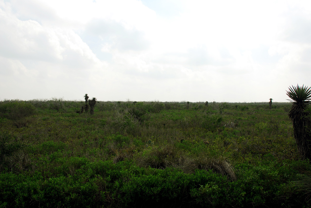 2012-02-28, 009, Palo Alto Battlefield, TX