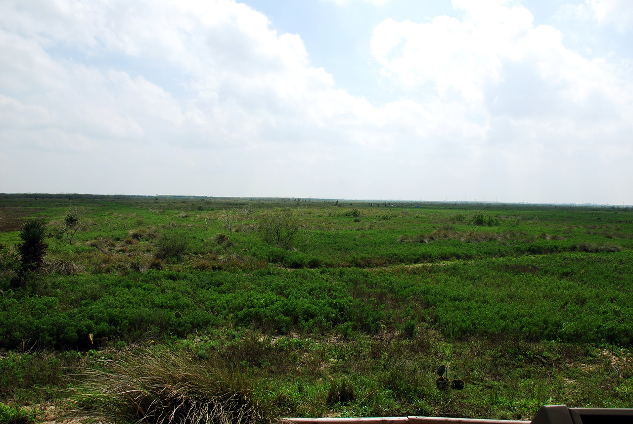 2012-02-28, 015, Palo Alto Battlefield, TX