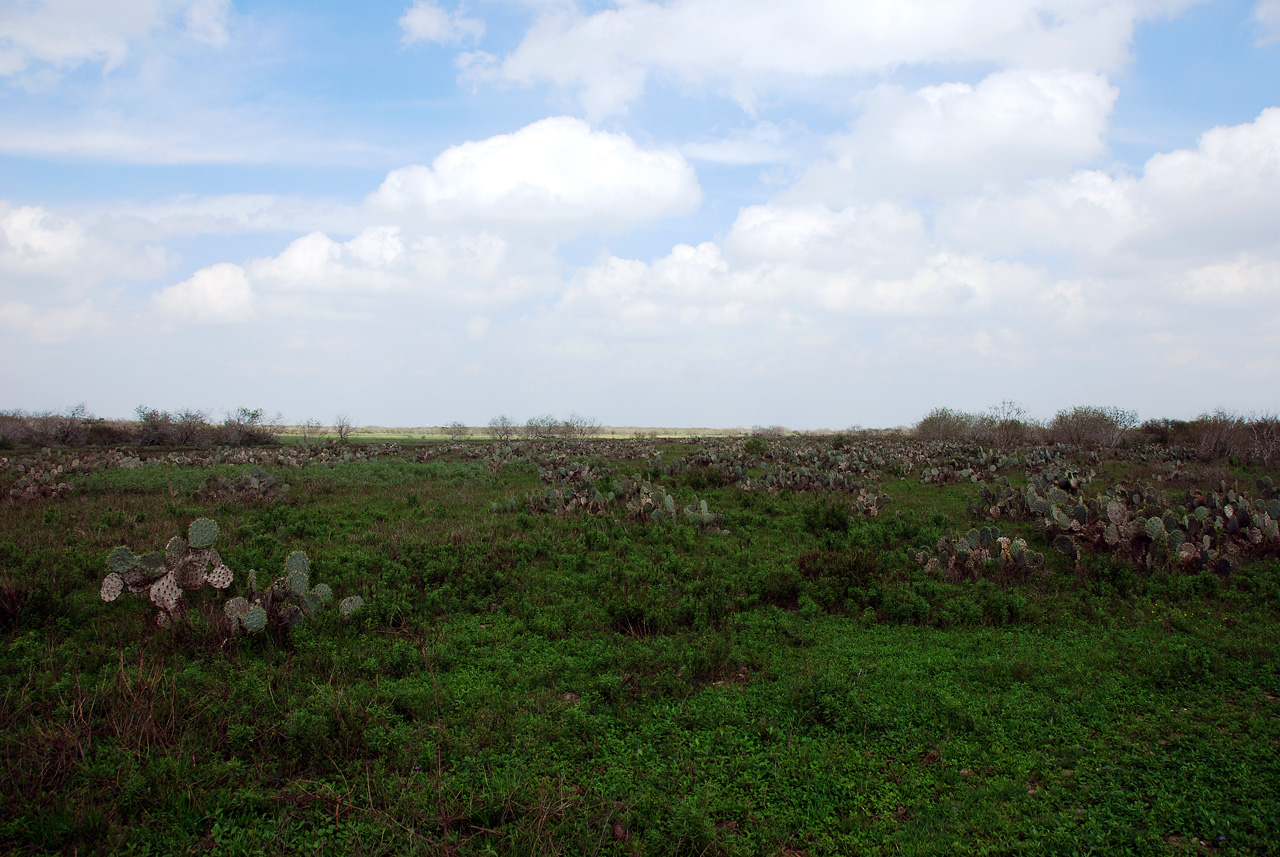 2012-02-28, 030, Palo Alto Battlefield, TX