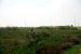 2012-02-28, 007, Palo Alto Battlefield, TX
