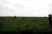 2012-02-28, 009, Palo Alto Battlefield, TX