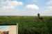 2012-02-28, 012, Palo Alto Battlefield, TX