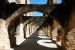 2012-03-03, 030, San Jose Mission