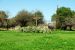 2012-03-04, 013, San Juan Mission