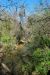 2012-03-04, 020, San Juan Mission