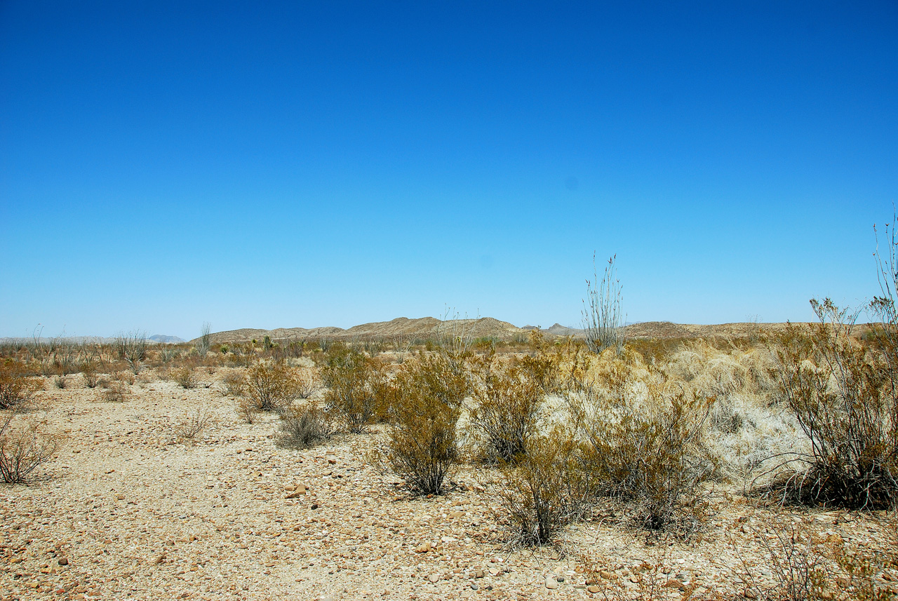 2012-03-10, 018, Old Maverick Rd