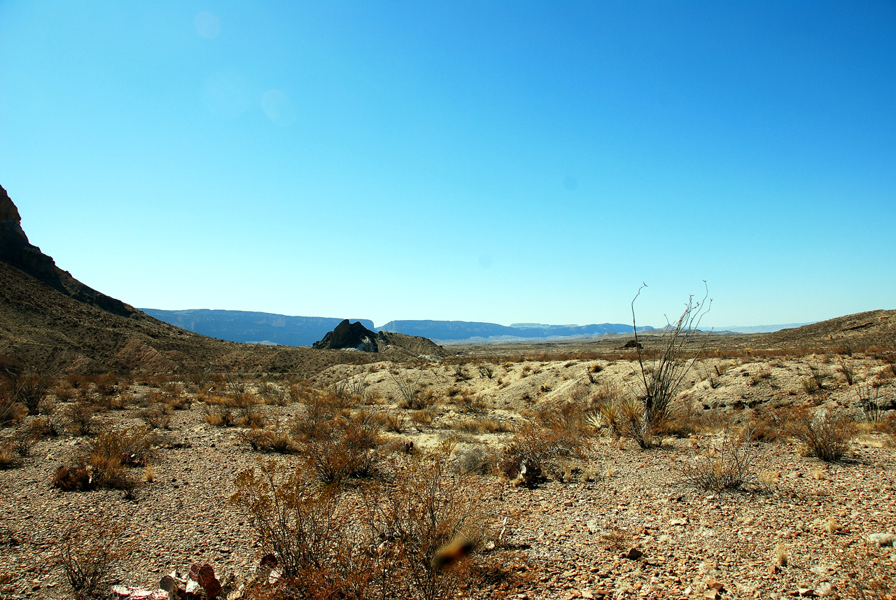 2012-03-10, 051, Ross Maxwell Dr