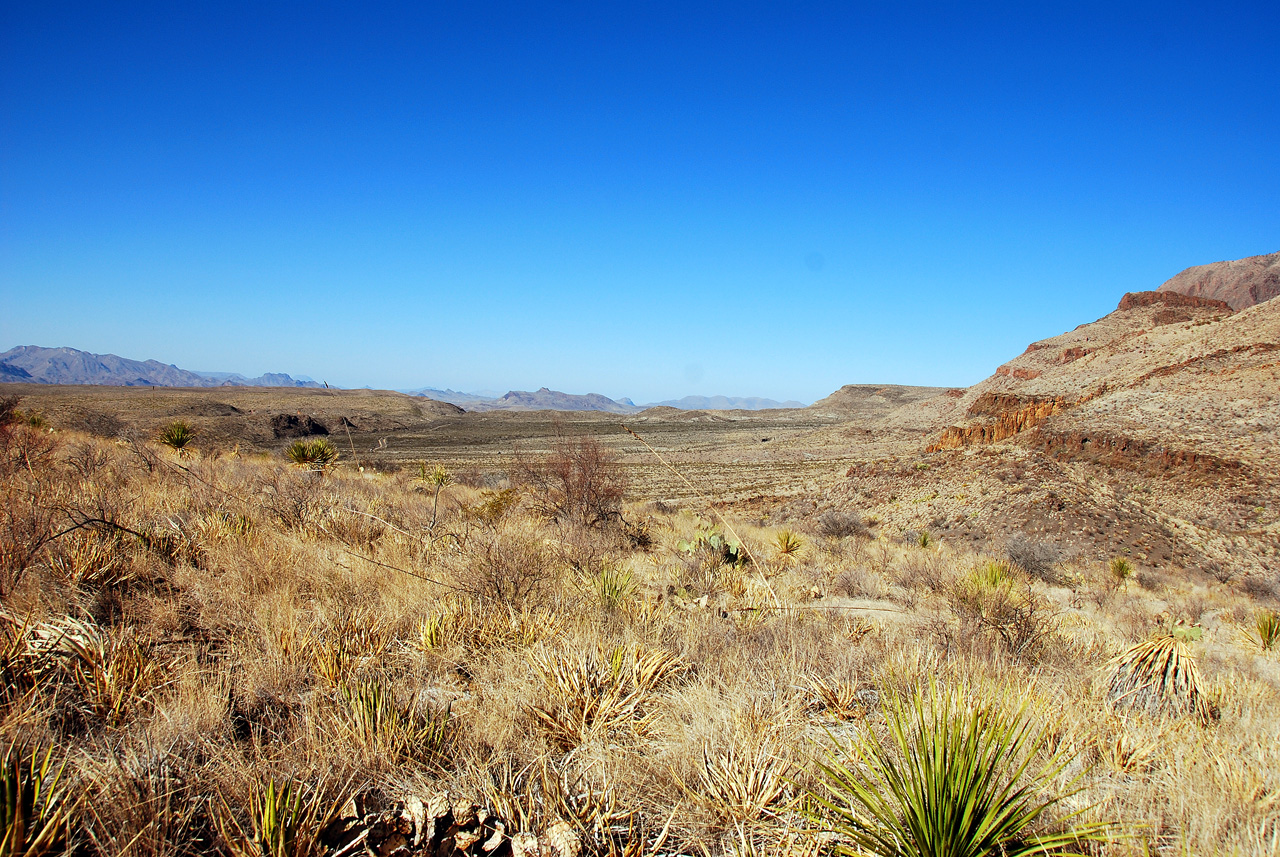 2012-03-10, 072, Homer Wilson Ranch