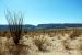 2012-03-10, 017, Old Maverick Rd