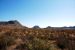 2012-03-10, 061, Ross Maxwell Dr