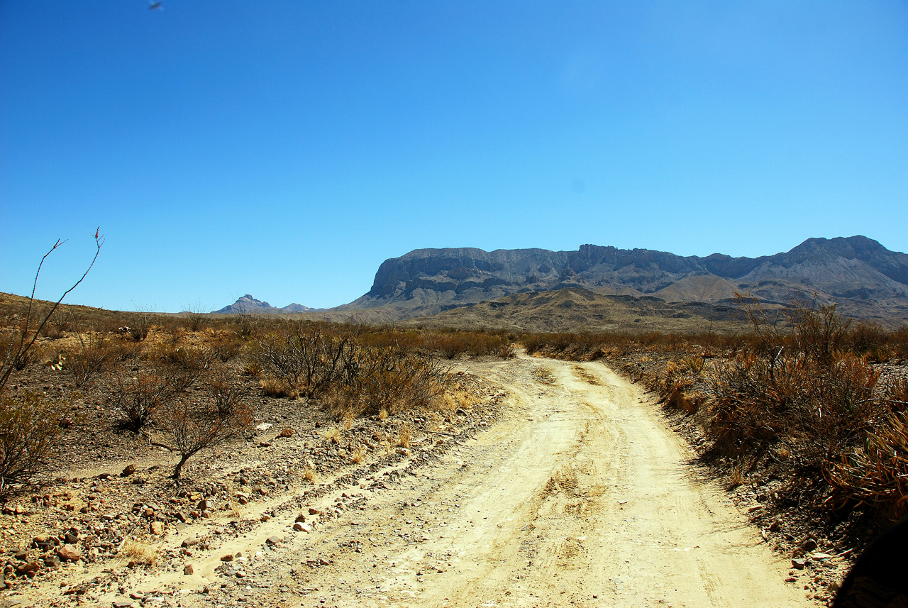 2012-03-11, 001, Grapevine Hills Rd