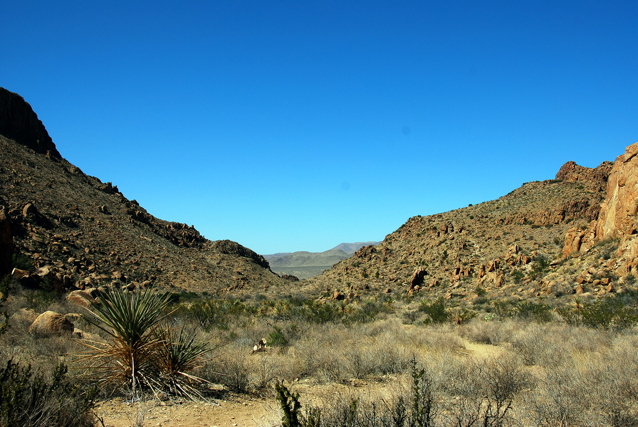 2012-03-11, 009, Grapevine Hills Rd