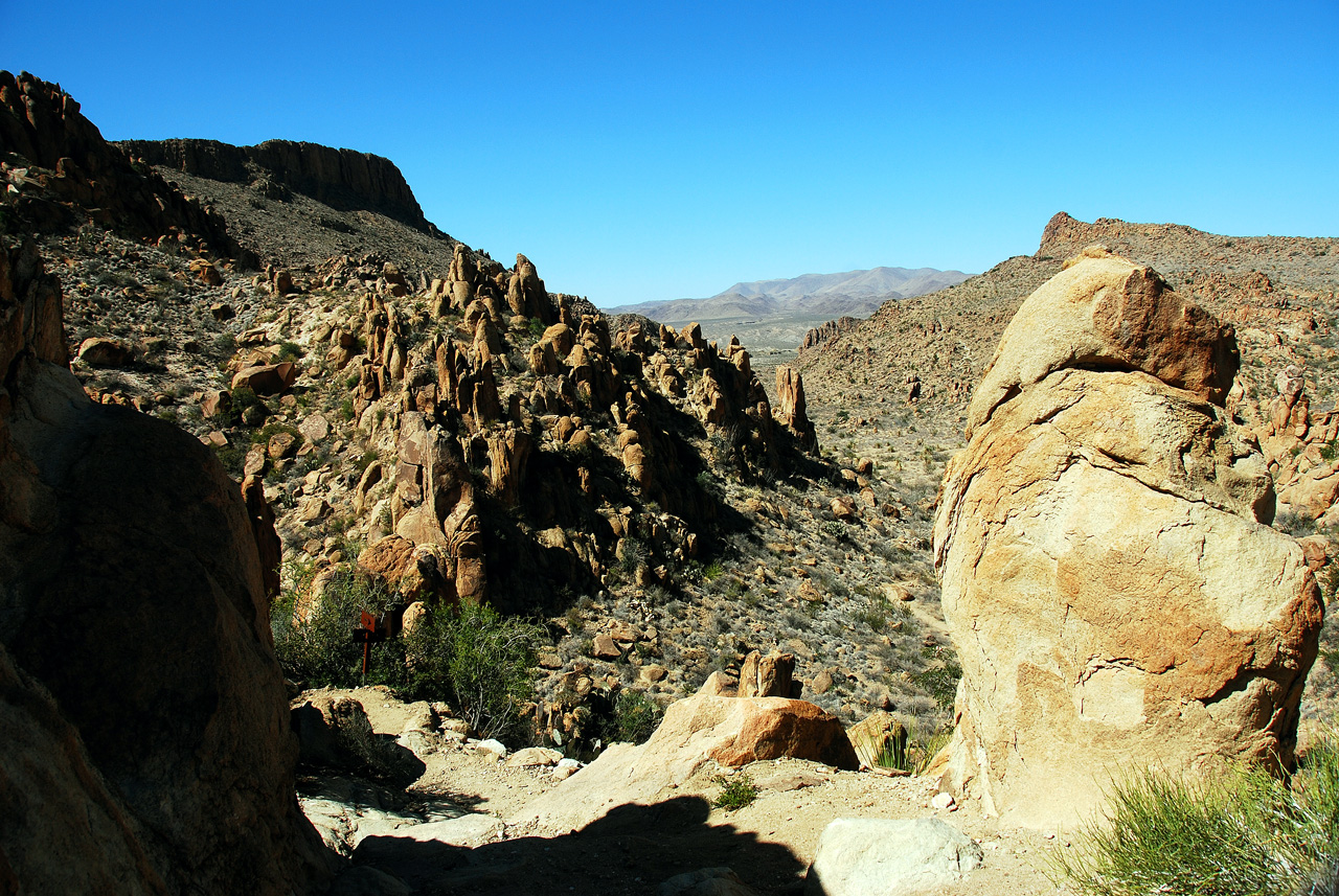 2012-03-11, 011, Grapevine Hills Rd