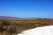 2012-03-11, 004, Grapevine Hills Rd