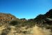2012-03-11, 008, Grapevine Hills Rd
