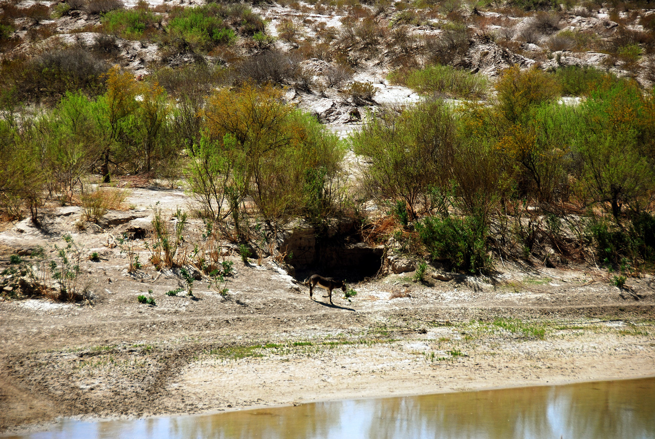 2012-03-12, 024, Rio Grande Overlook