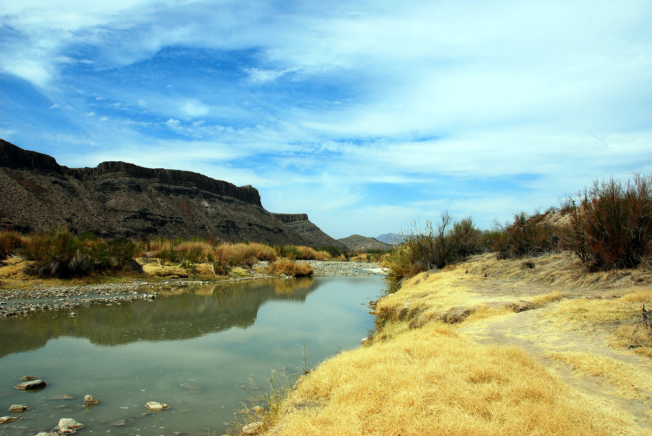 2012-03-14, 007, Along Rt 170