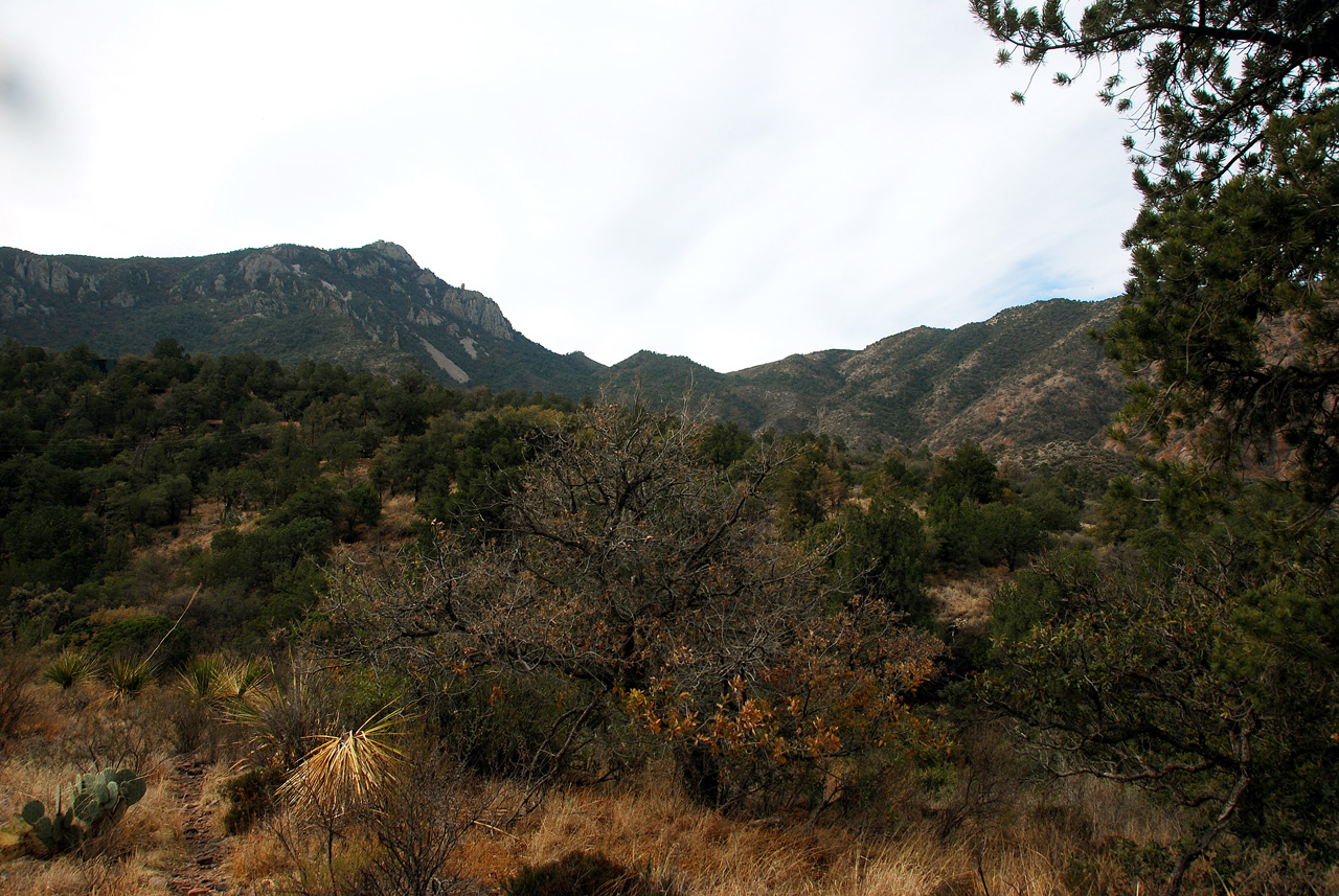 2012-03-14, 008, Chisos Basli