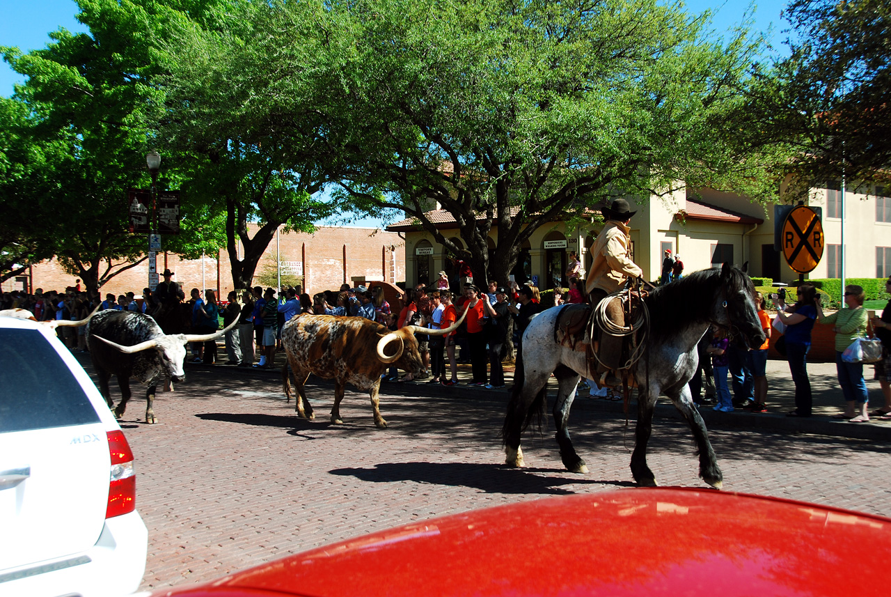 2012-03-23, 014, Fort Worth Stock Yards