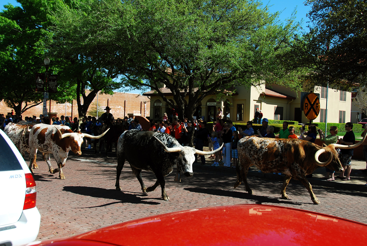 2012-03-23, 015, Fort Worth Stock Yards