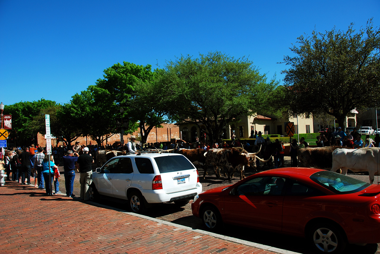 2012-03-23, 017, Fort Worth Stock Yards