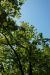 2012-04-09, 005, The Arch, MO